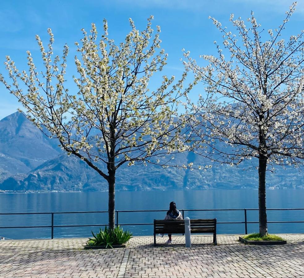 Brother'S Como Lake Suite Acquaseria 외부 사진